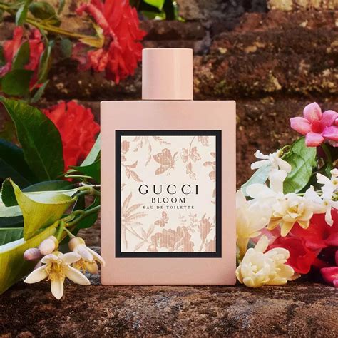 духи gucci bloom|gucci bloom accord.